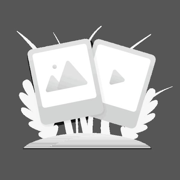 CONTOR ELECTRIC ANALOGIC MONOFAZAT 10(100)A 230V AC 4M/DIN