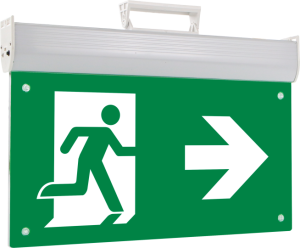 INDICATOR DIRECTIE IESIRE SUS EM122-DF