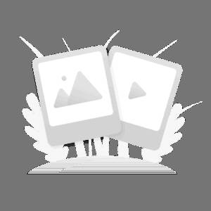 BLOC DISTRIBUITOR VERDE 100A in:1x25/out:3x25 mm2