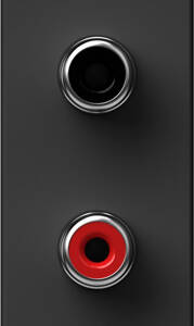 Modul Priza audio 2P RCA 1m