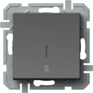Buton simplu cu 2 indicatoare, fără lampă de neon, antracit